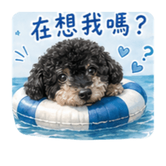 家有男丁