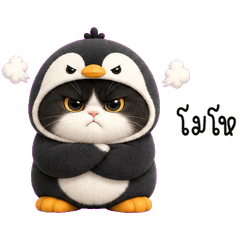 Pudgy Penguin Cat Daily