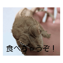 Rintarou_20260607155822