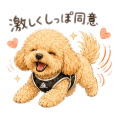 natsuki_20260521003113