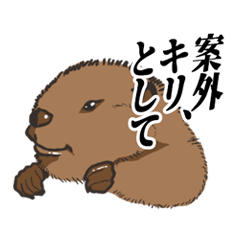 BABYbeaver