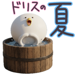 毎日アヒルのドリス　夏