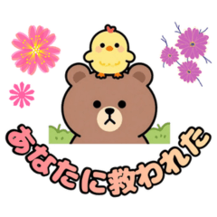 Cute Chick LINE Stickers 1023