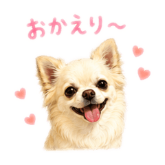 yunchan_20260605205750