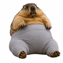 Yoga Pants marmot