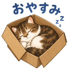 Box-Loving Tabby Cat Daily Stickers