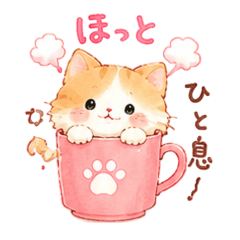 Cute cat and food 2
