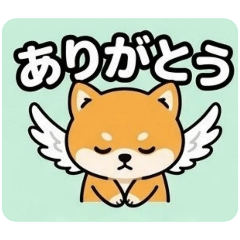 Daily Soft Replies Winged Shiba 40