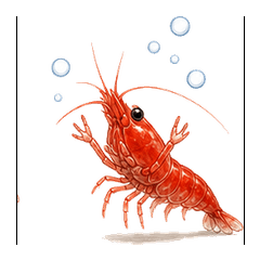 Full Reaction Cherry Shrimp
