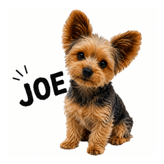 Lovely Joe's Daily Life2