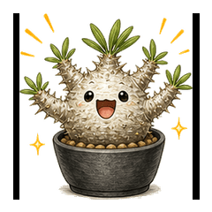 Full Reaction Pachypodium N22