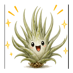 Full Reaction Tillandsia