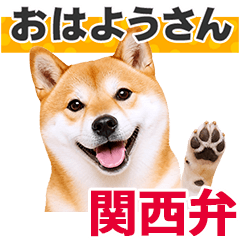 関西弁★柴犬♪毎日使える言葉