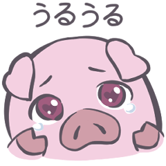 Starry eyes Pig
