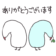 ゆるしろ文鳥のぶんちょさん【敬語】