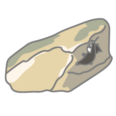 NOBONEKO14