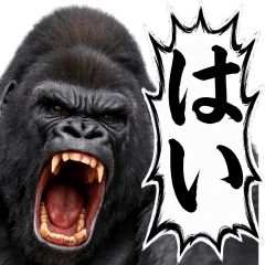 stampstamp_GORILLA