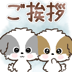 愛犬☆シーズーのご挨拶♡ず〜っと使える