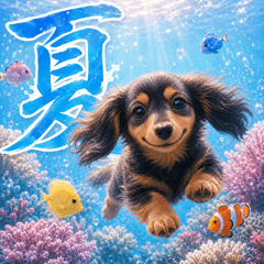 summer Miniature Dachshund p
