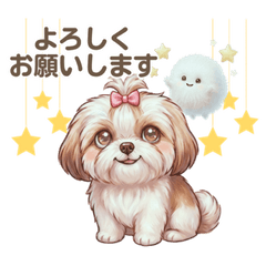 Shih Tzu and Flaffy