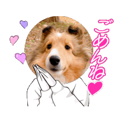 Shetland Sheepdog Animated Stamp1