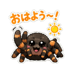 tarantula - Daily Chat Stickers