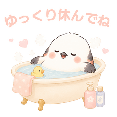 Cute Shimaenaga for Every Day