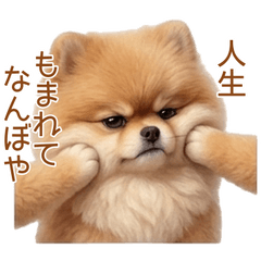 よく見るとそういう風に言ってそうな犬