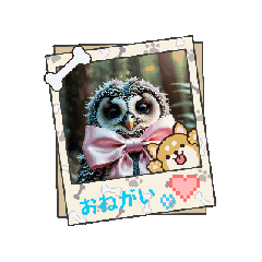 aoi_20260607114407