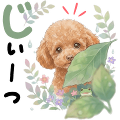 20260607dog summer