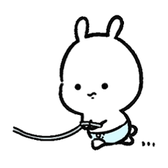 Baby of rabbit 12