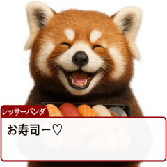 Red Pandas in Tokyo [Red]