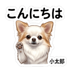Kotasan stickers