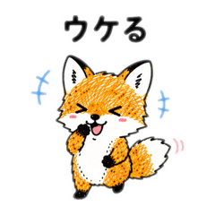 norineko71_20260608110955