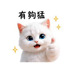 白白聊八卦
