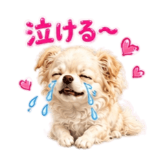 yunchan_20260608090732