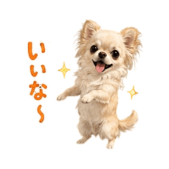 yunchan_20260608090612