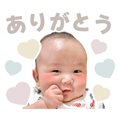 momo_20260608130211