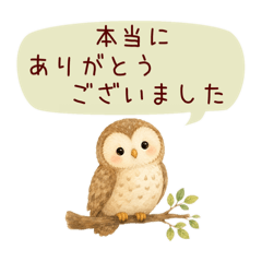 guminomori_20260521170452