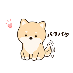 なんか気になる脱力しば犬