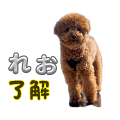 mo_20260521223933