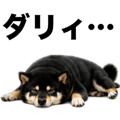Mozuku_shibainu_20260521200914