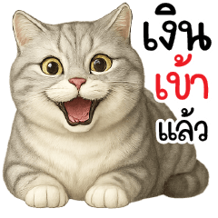 เงินเข้าแล้วววว ^^