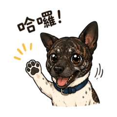 可愛的狗狗❤️