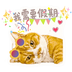 小橘喵，上班日常