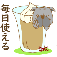 WANKOBIYORI (Pit Bull)1