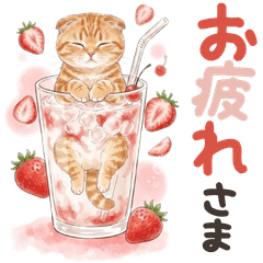 cat cute  summer