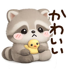 かわいい☆アライグマ