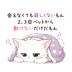 bonbon_20260522211559