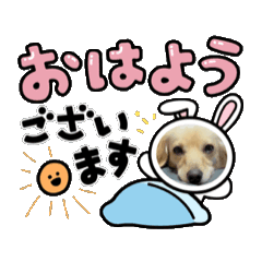 momonosuke0309